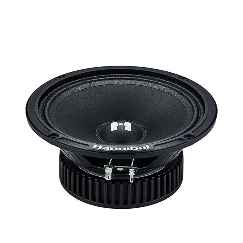 Difuzoare auto Deaf Bonce Hannibal HM-6S set componente, 165mm, 100W RMS, 4Ω, set 2 difuzoare [1]