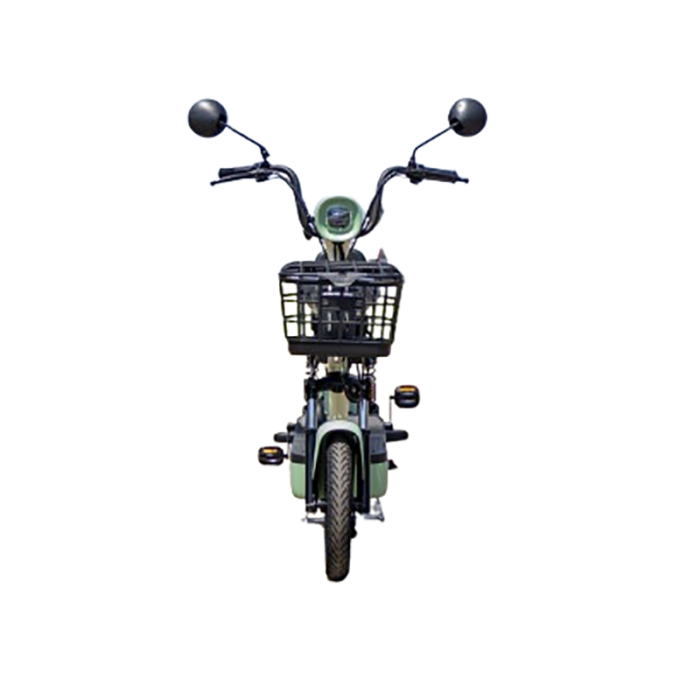 Bicicleta electrica ieftina fara permis [3]