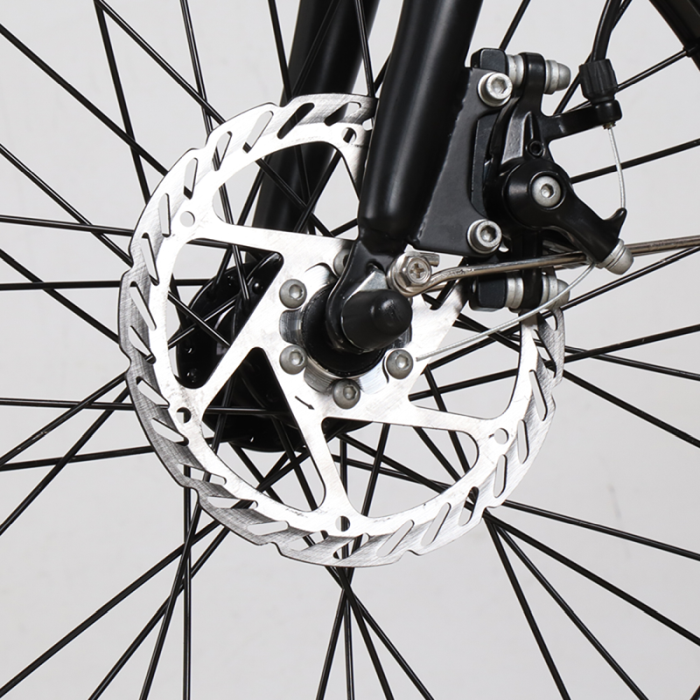 Bicicleta electrica pliabila GT25 250W, Li-Ion 36V 7.8Ah, RKS [4]