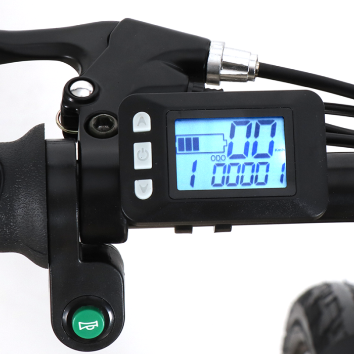 Bicicleta electrica pliabila GT25 250W, Li-Ion 36V 7.8Ah, RKS [2]