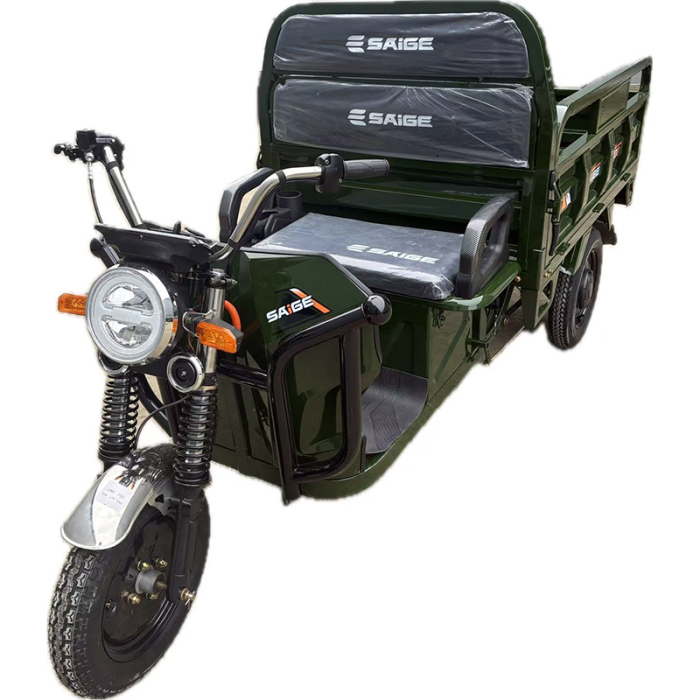 Tricicleta electrica cu remorca [2]