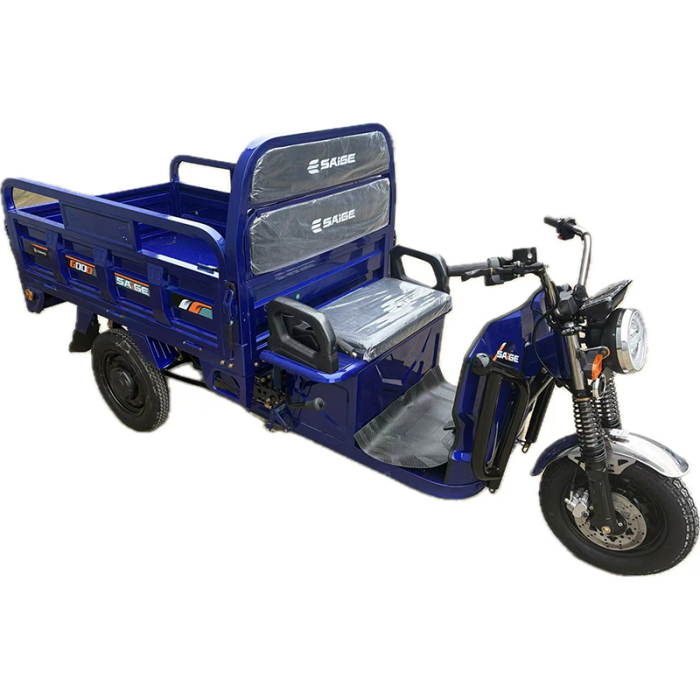 Tricicleta electrica cu remorca [9]