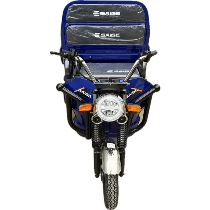 Tricicleta electrica cu remorca [2]