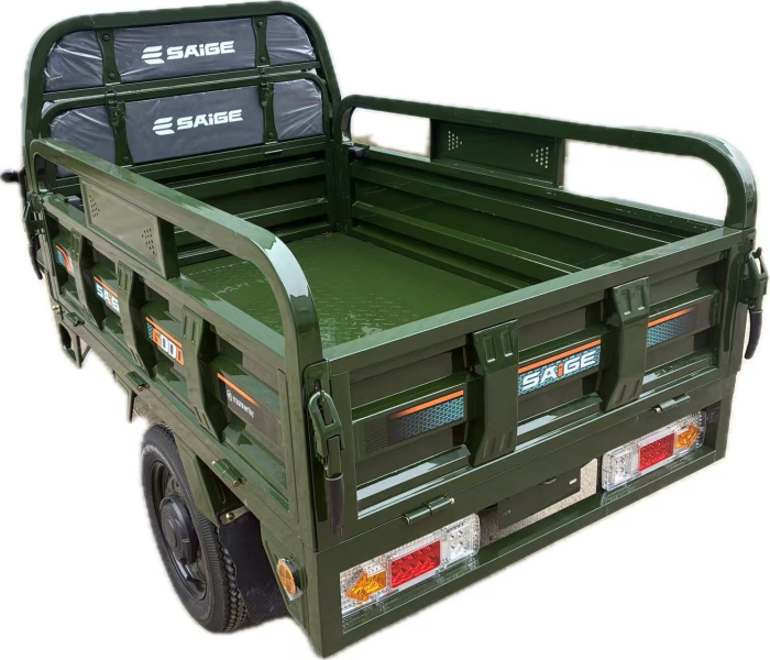 Tricicleta electrica cu remorca [6]