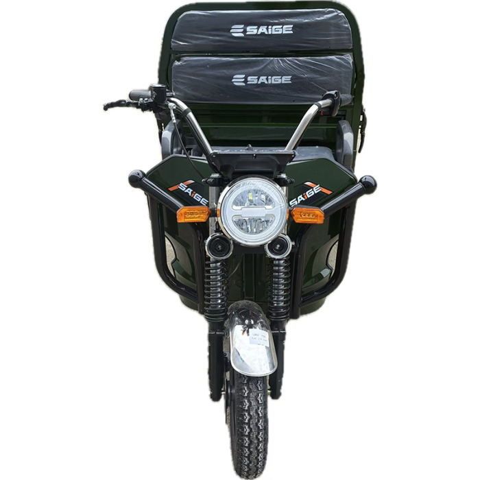 Tricicleta electrica cu remorca [12]