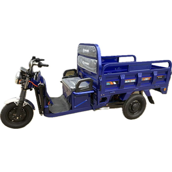 Tricicleta electrica cu remorca [5]