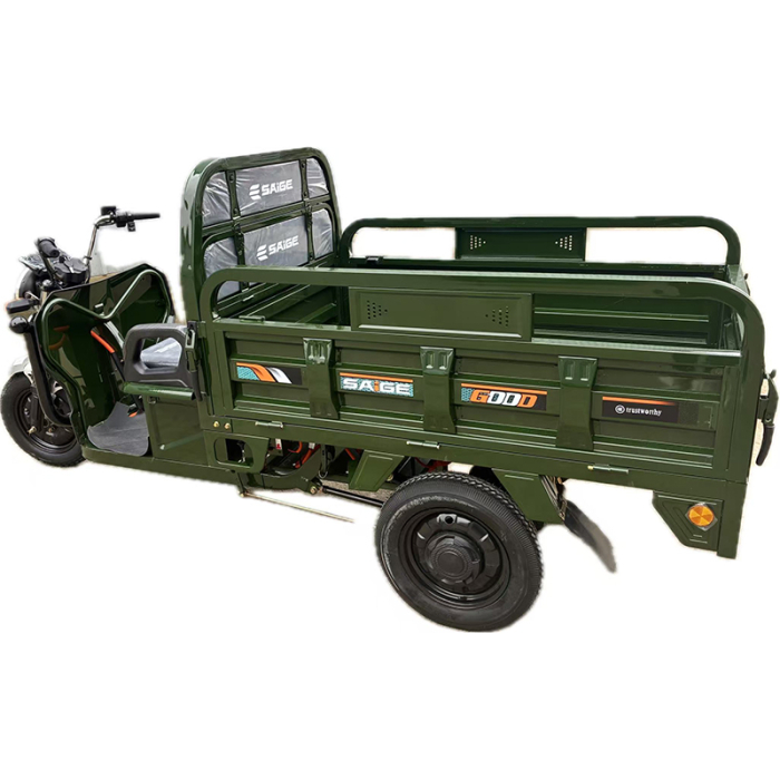 Tricicleta electrica cu remorca [8]