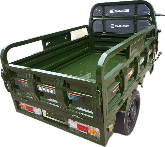 Tricicleta electrica cu remorca [4]