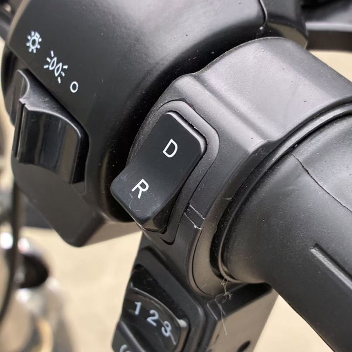 Tricicleta electrica cu remorca [10]