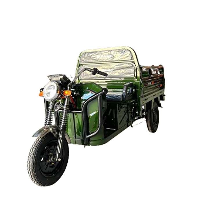 Tricicleta electrica cu remorca [2]