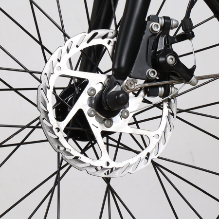 Bicicleta electrica pliabila GT25 250W, Li-Ion 36V 7.8Ah, RKS [3]