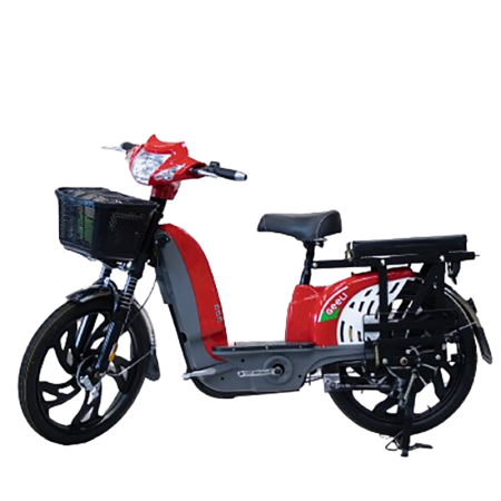 Bicicleta electrica UTIL, 2 locuri, 500W, 60V 12Ah, fara permis, jante turnate, Kuba [9]