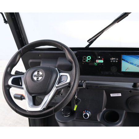 Camioneta cu 2 locuri fara permis [5]