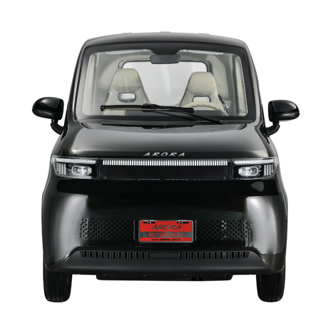 Masina electrica ARORA S2, 4000W, 25km/h, nu necesita permis, 4 locuri [4]