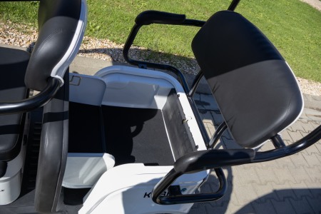 Tricicleta electrica OPTIMUS MAX 1000W, 72V 20 Ah, 25km/h, autonomie 50 km [31]