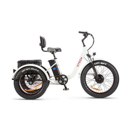 Biciclete Electrice - Tricicleta electrica, ZT 80, 250W, acumulator 48V 16Ah Li-Ion, Z-Tech