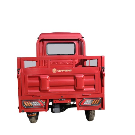 TRICICLU ELECTRIC CU REMORCA SI CABINA INCHISA JP3000 [6]