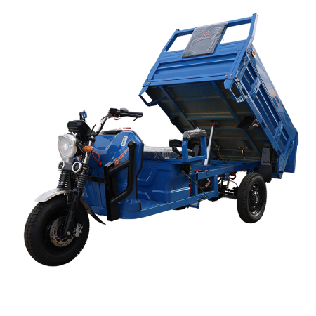 Triciclu electric de marfa basculabil cu cabina, 3900W, viteza 25km/h, baterii 60Ah, basculare hidraulica, nu necesita permis, AMR DUMP [5]