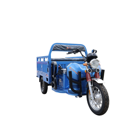 Triciclu electric de marfa basculabil, 3900W, viteza 25km/h, baterii 80Ah, nu necesita permis, JP1500 [9]