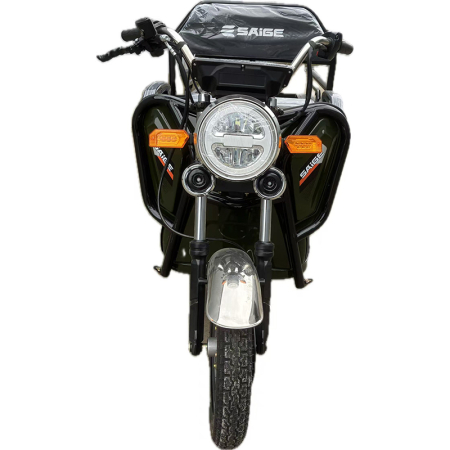 Triciclu electric de marfa ECOPIKAP ARTEMISGIFT, viteza maxima 25 km/h, 1600W, 60V/32Ah, fara permis [9]