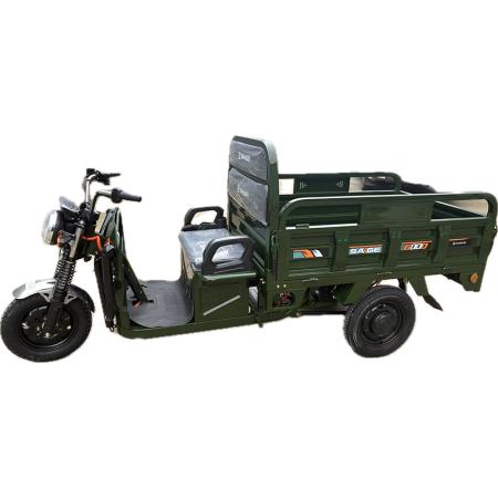 Tricicleta electrica cu remorca [10]