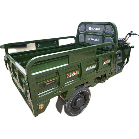 Tricicleta electrica cu remorca [6]