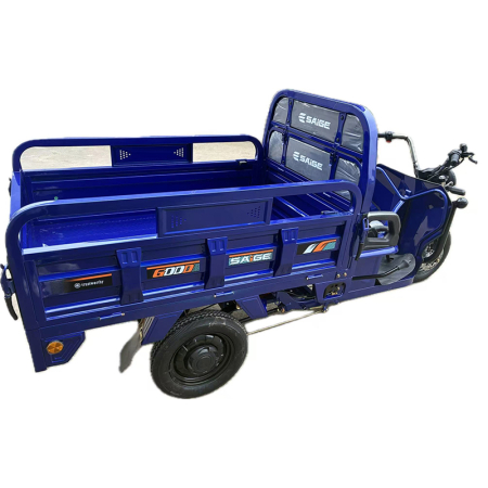 Tricicleta electrica cu remorca [7]