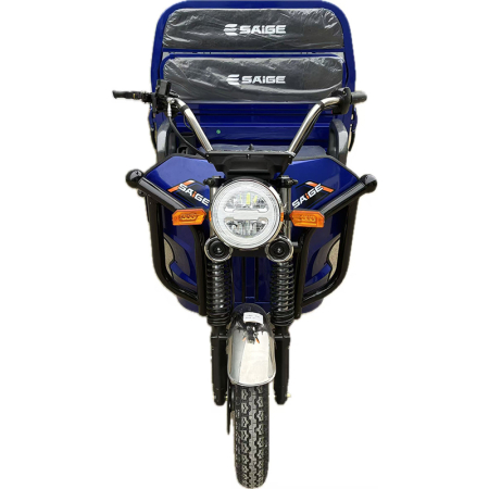 Tricicleta electrica cu remorca [9]