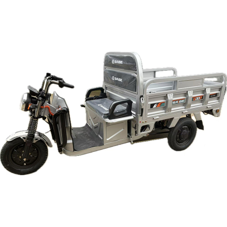 Tricicleta electrica cu remorca [2]