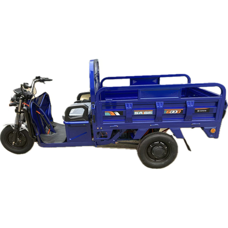 Tricicleta electrica cu remorca [5]