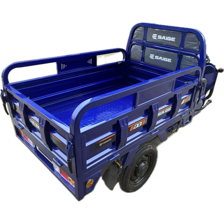 Tricicleta electrica cu remorca [3]