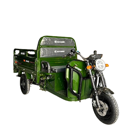 Tricicleta electrica cu remorca [0]