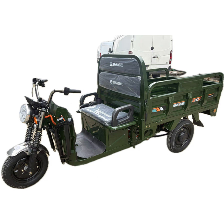 Tricicleta electrica cu remorca [7]