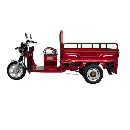 Triciclu electric de marfa ZT 91, viteza maxima 25 km/h, 1200W, 60V/45Ah, fara permis [2]