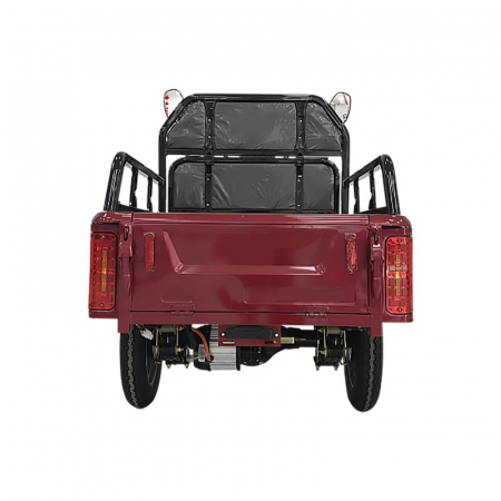 Tricicleta electrica cu bena basculabila [2]