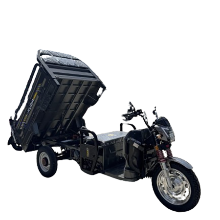 TRICICLU ELECTRIC TRANSPORT MARFA BASCULABIL KUBA GL15000 [6]