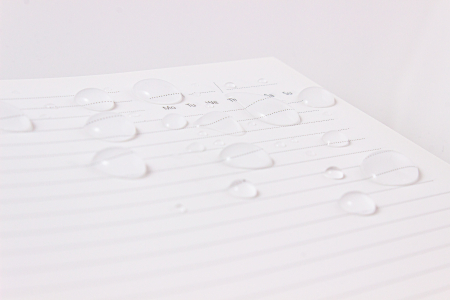 agenda carbon black - hartie de piatra [2]