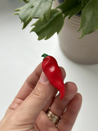 Spring - Brosa Ardei Iute