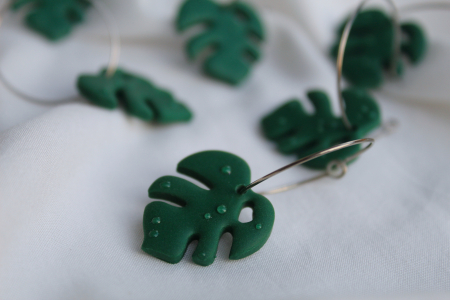 Rain Drop Monstera Leaf [1]