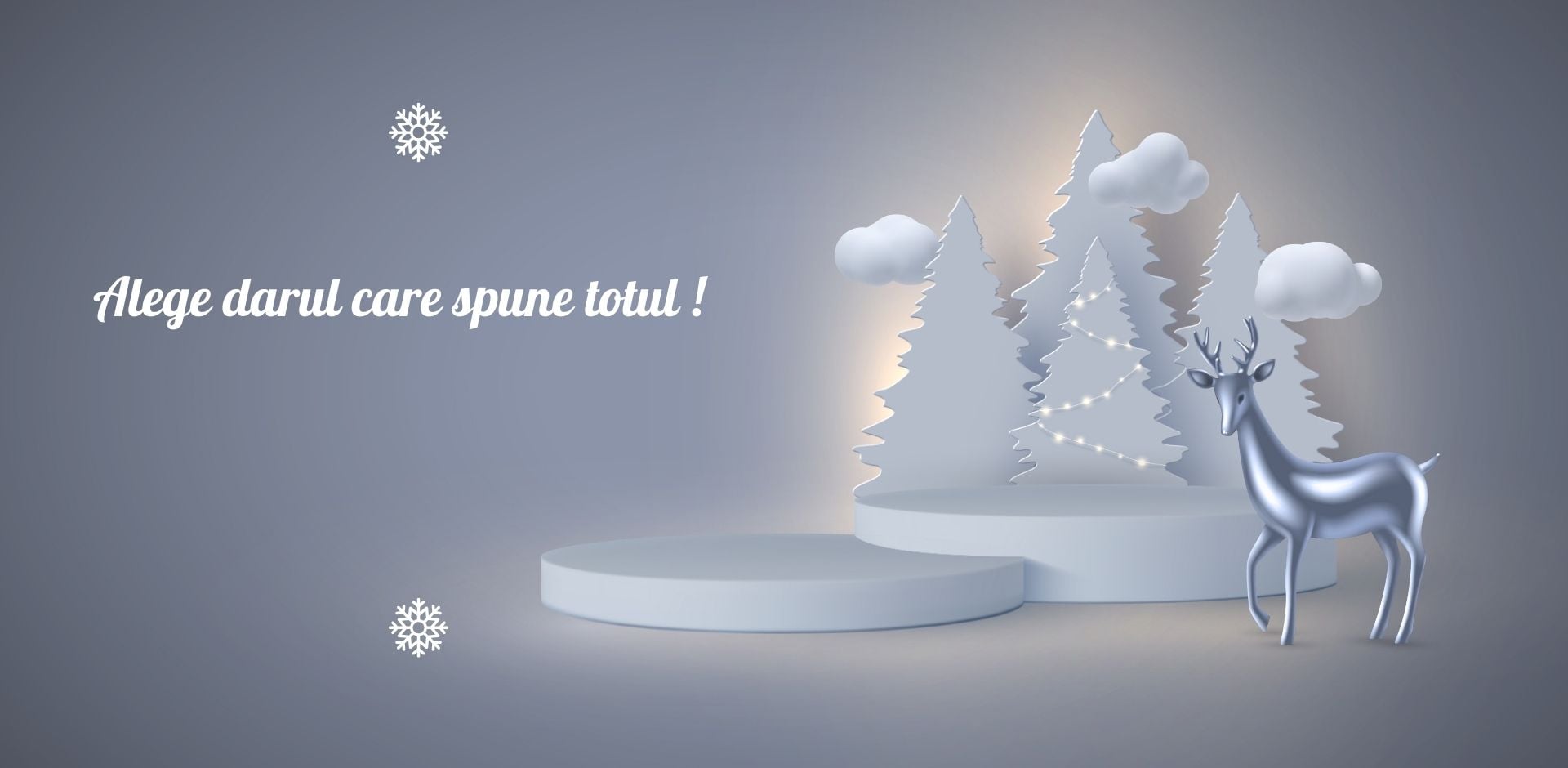 benner craciun 2025 1