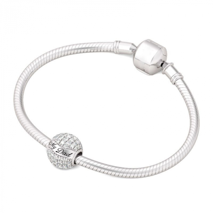 Talisman Argint 925, Charm compatibil Pandora – My Hero, Bijuterii Nadiela [2]