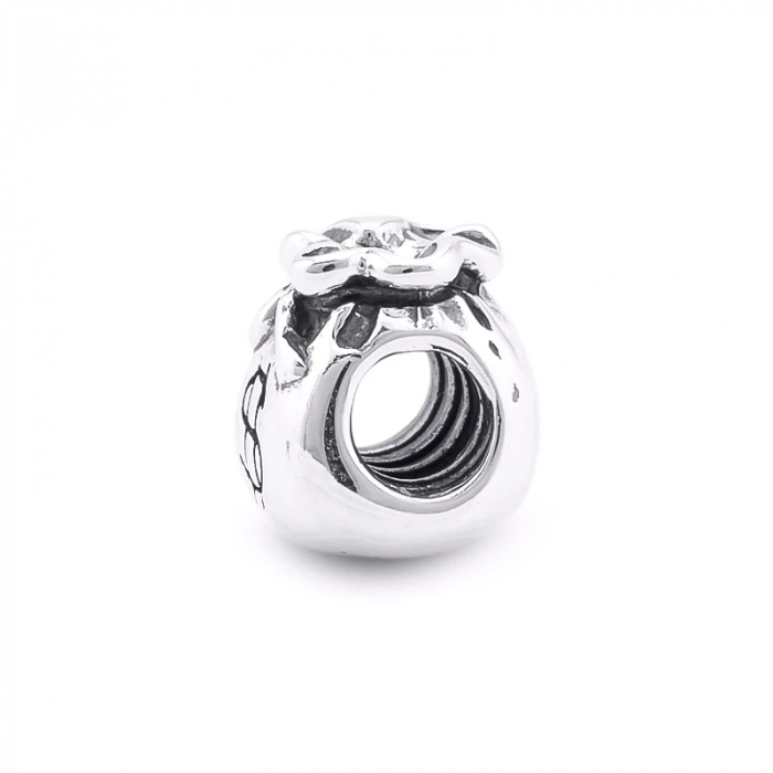Talisman Argint 925, Charm compatibil Pandora – Be rich, Bijuterii Nadiela [2]
