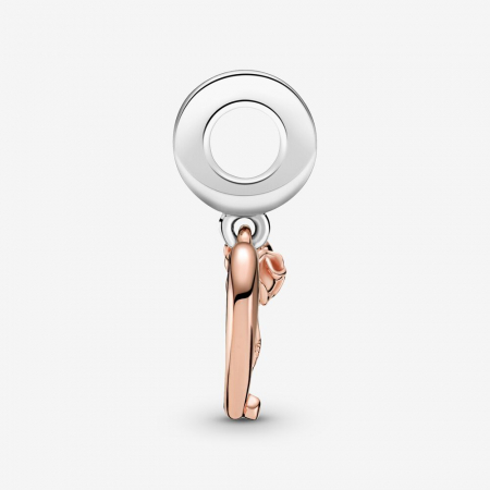 Talisman Argint 925, Charm compatibil Pandora – Forever love, Bijuterii Nadiela [4]