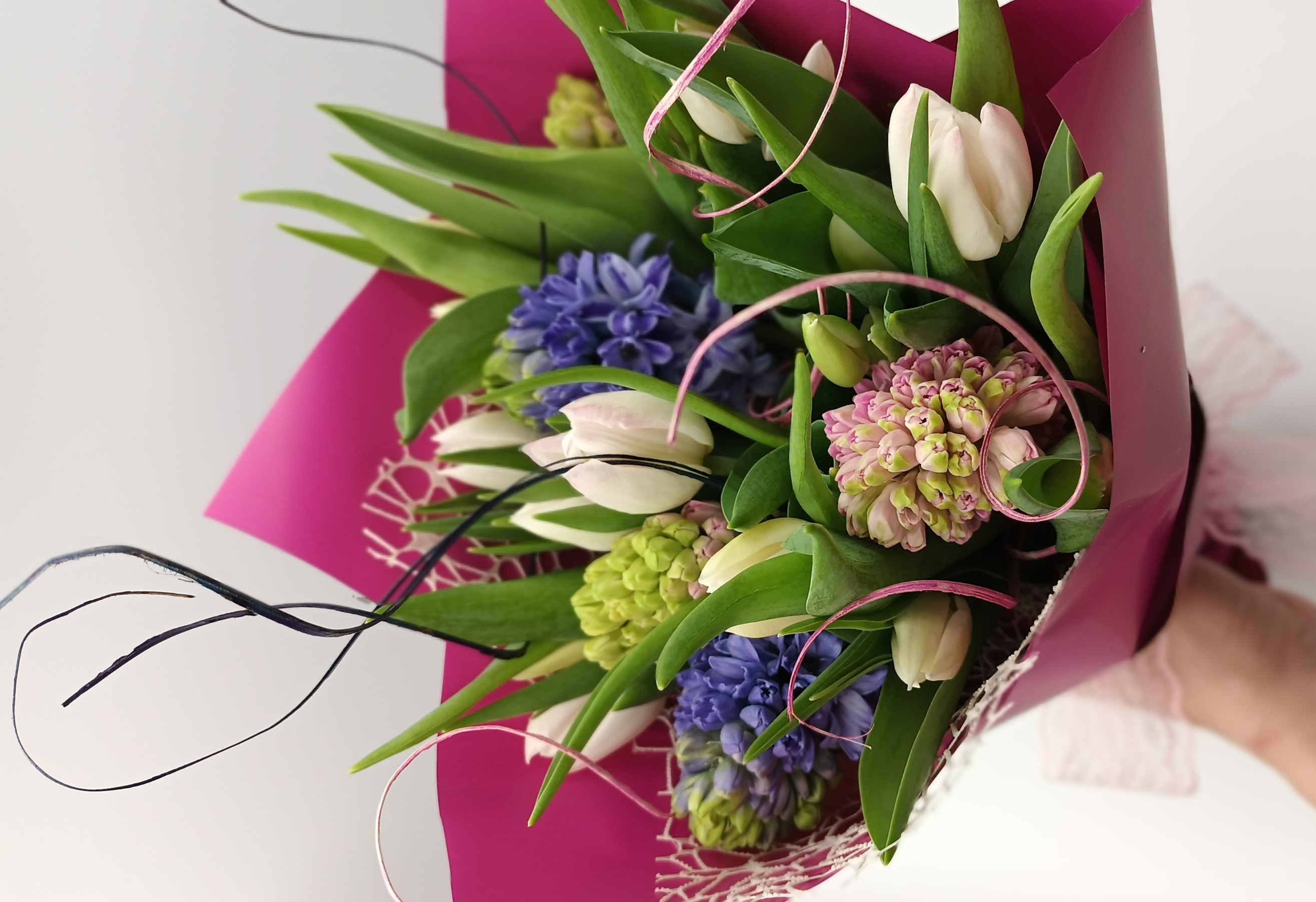FLOWERS AND COLOURS