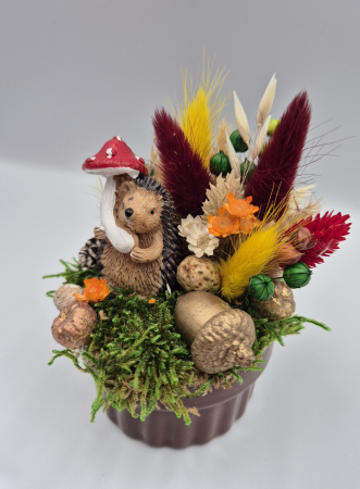 Aranjament Arici [1]