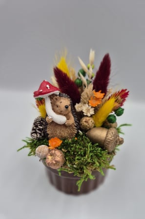 ARANJAMENTE - Aranjament Arici