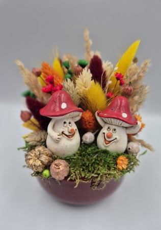 ARANJAMENTE - Aranjament Ciupercuțe