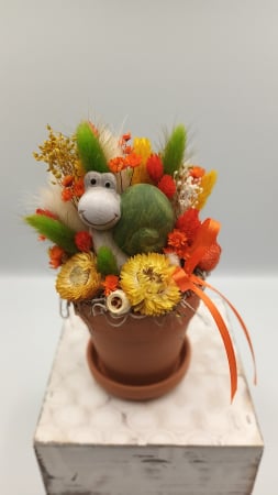 HAND-MADE - Aranjament melc ghiveci