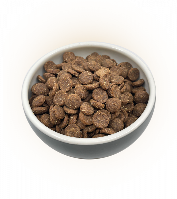 Breeder Puppy Curcan [2]