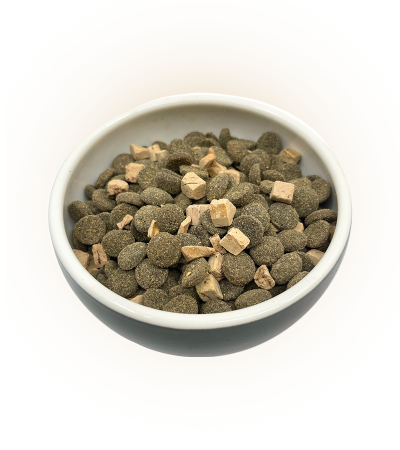 Extra Raw Rață fără Cereale [1]